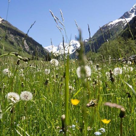 Апартаменти Neuhaushof Голлерсбах-ім-Пінцґау Екстер'єр фото