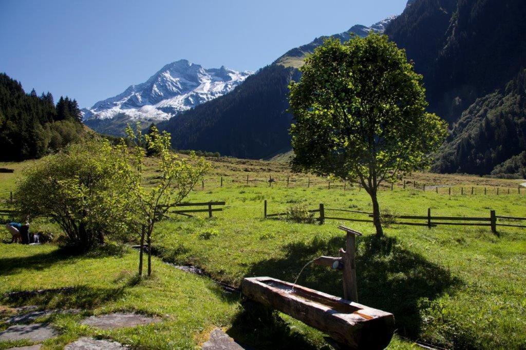 Апартаменти Neuhaushof Голлерсбах-ім-Пінцґау Екстер'єр фото