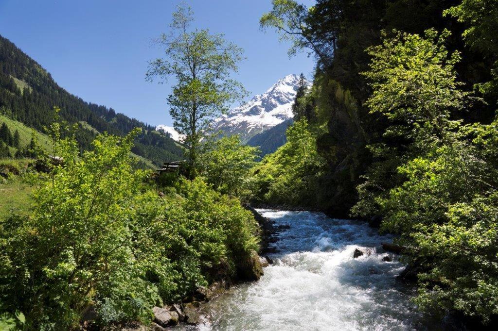 Апартаменти Neuhaushof Голлерсбах-ім-Пінцґау Екстер'єр фото