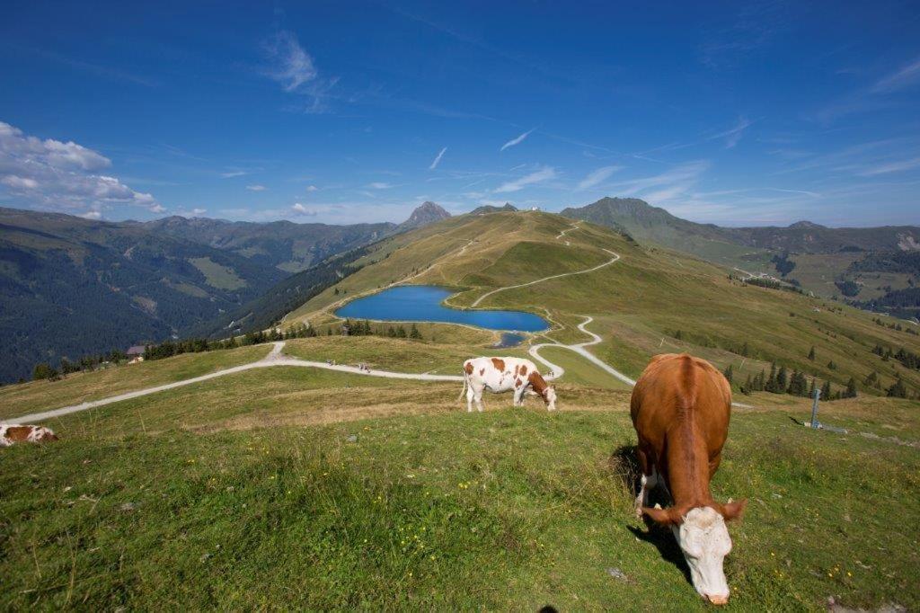 Апартаменти Neuhaushof Голлерсбах-ім-Пінцґау Екстер'єр фото