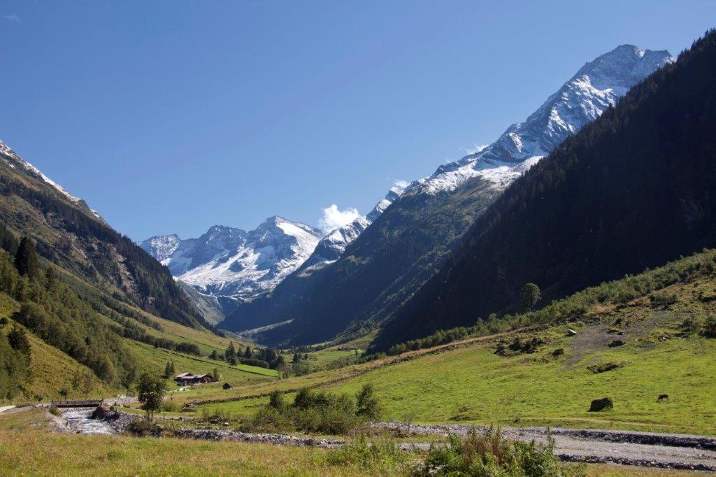 Апартаменти Neuhaushof Голлерсбах-ім-Пінцґау Екстер'єр фото